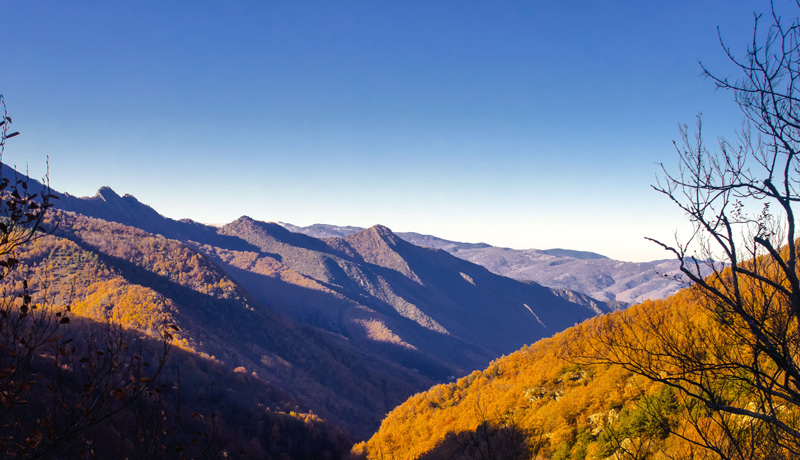 Cerdanya in summer